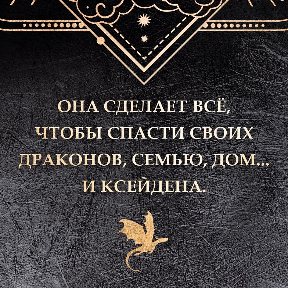 Ониксовый шторм (специальное издание) null - 4