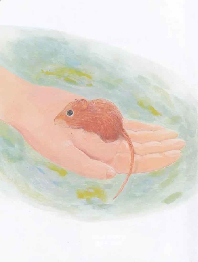 Лесные истории. Сказки о животных null - 2