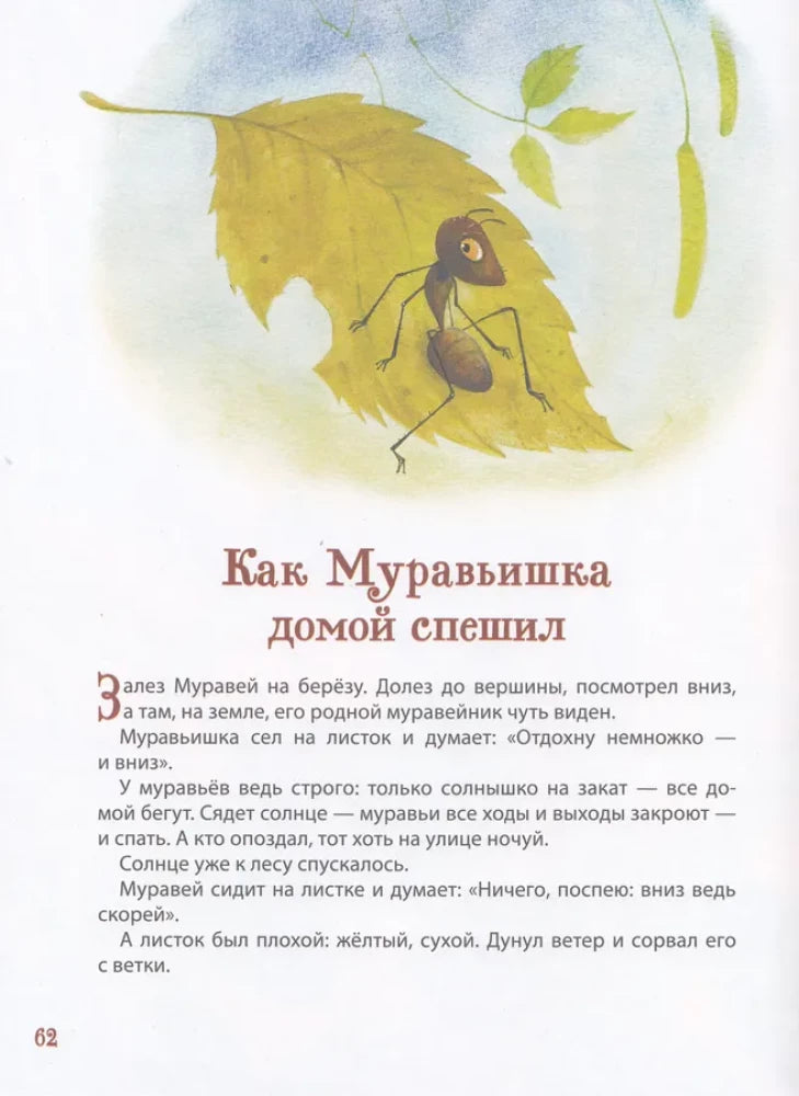 Лесные истории. Сказки о животных null - 4