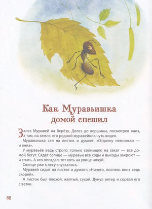 Лесные истории. Сказки о животных null - 4