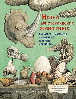 Обложка Музей доисторических животных. Единороги, мамонты, динозавры и другие экспонаты 978-5-389-19557-8