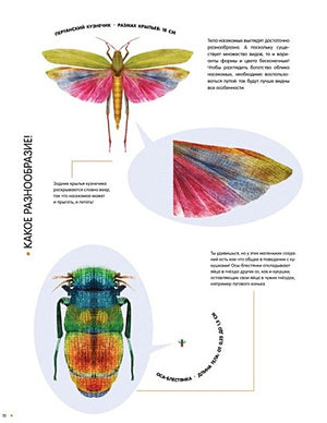 Насекомые в натуральную величину 978-5-389-23352-2 - 1