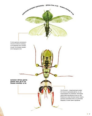 Насекомые в натуральную величину 978-5-389-23352-2 - 5