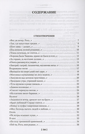 «Мне осталась одна забава...» Стихотворения, поэмы, проза. Полное собрание сочинений 978-5-389-24102-2 - 6