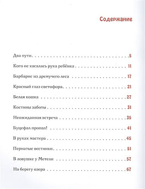 Спешили пони сквозь метель 978-5-4335-0833-0 - 4