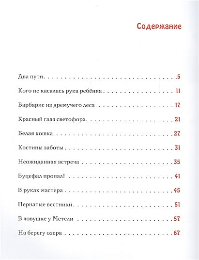 Спешили пони сквозь метель 978-5-4335-0833-0 - 4