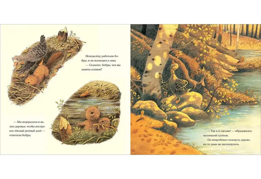 Осень гусёнка 9785433508910