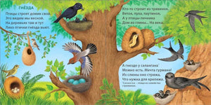 Книжки - картонки.  Удивительные дома животных 978-5-4366-0786-3 - 1