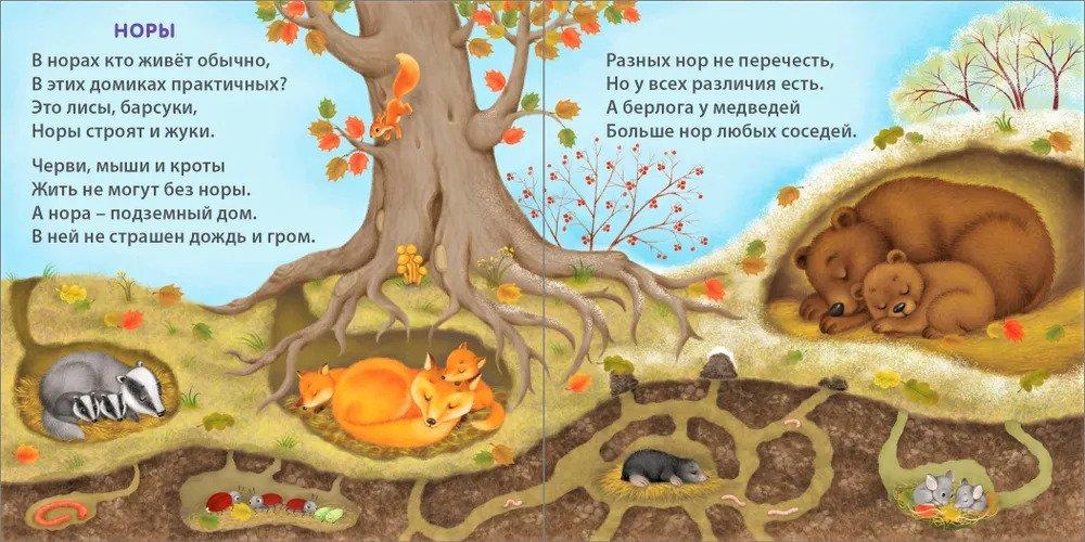 Книжки - картонки.  Удивительные дома животных 978-5-4366-0786-3 - 3