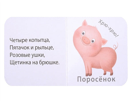 МИМИкнижки. Погремушки 978-5-4366-0858-7 - 2