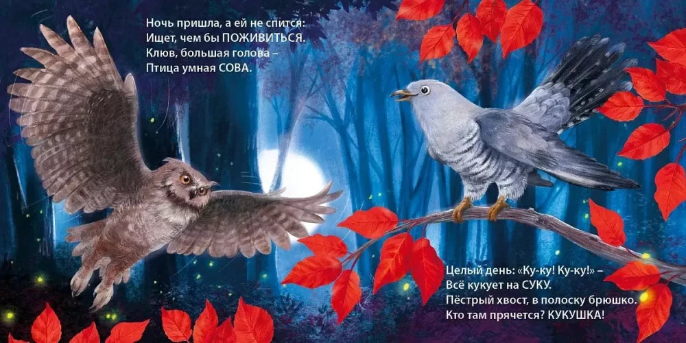 Такие разные птицы. Загадки - рифмы null - 2