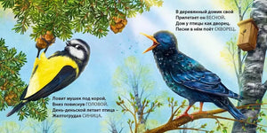 Такие разные птицы. Загадки - рифмы null - 3