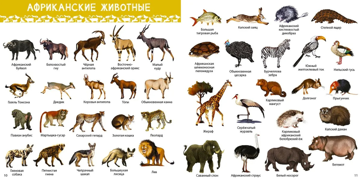 1000 картинок. Животные мира 9785436610030