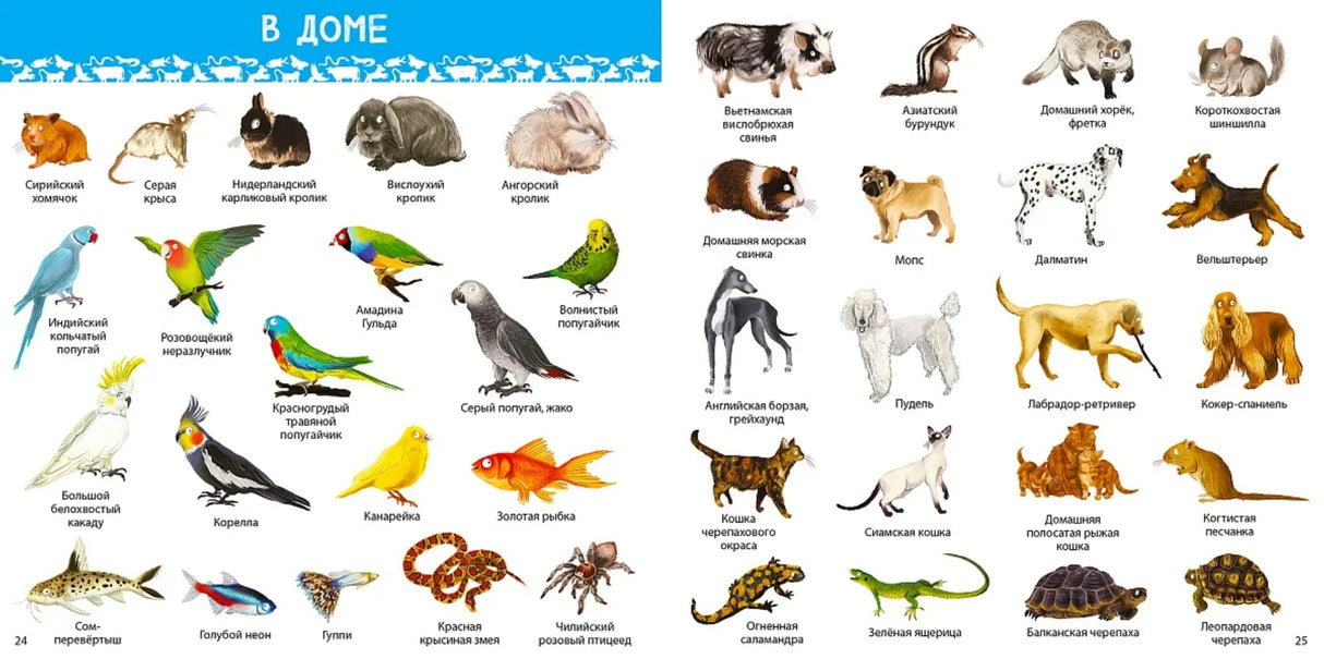 1000 картинок. Животные мира 978-5-4366-1003-0 - 2