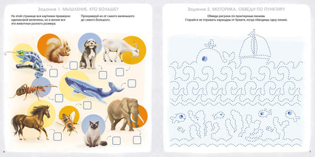 Альбом для развития мозга 5+. Готовимся к школе 978-5-4366-1023-8 - 1