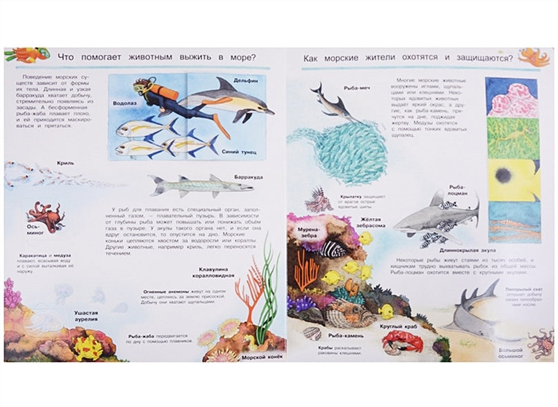 Что? Почему? Зачем? Мир морских животных. С волшебными окошками 978-5-465-03664-1 - 1
