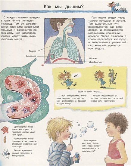 Что? Почему? Зачем? Изучаем наше тело (с волшебными окошками) 978-5-465-03715-0 - 2