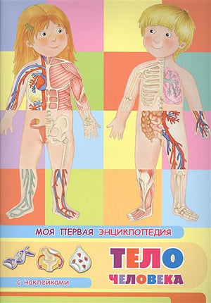 Обложка Тело человека. Моя первая энциклопедия с наклейками 978-5-465-03886-7