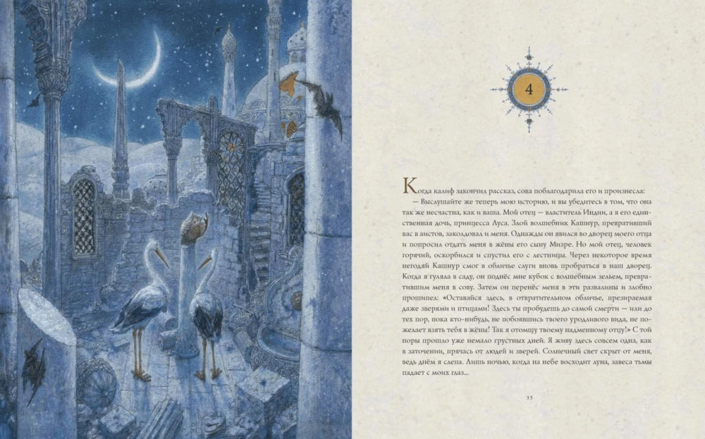 Калиф-аист 9785604233283