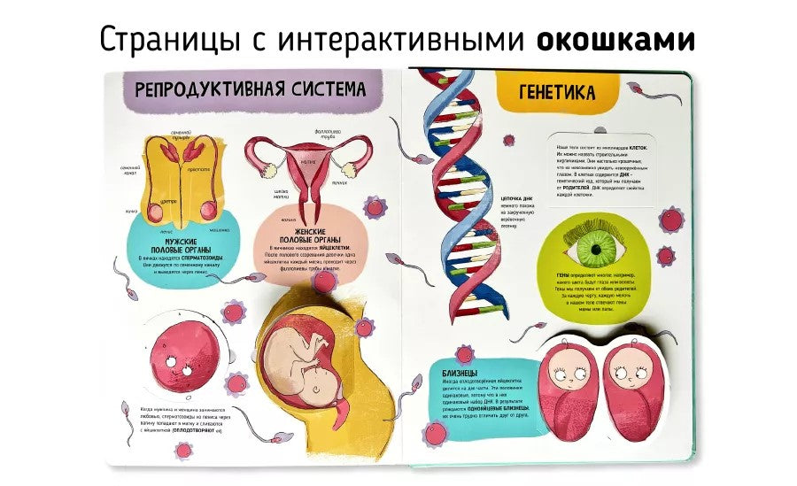 Книга. Мои первые открытия– Человеческое тело null - 4