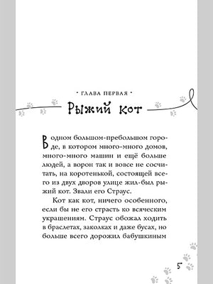 Котлетное расследование кота Страуса (Новое оформление) 978-5-907728-39-4 - 1