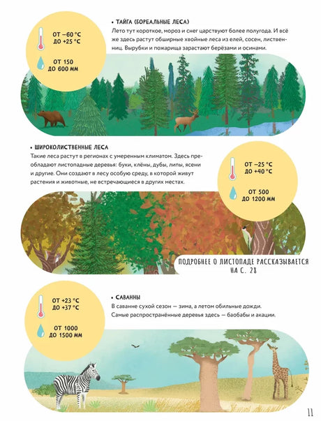 Тайны деревьев null - 8