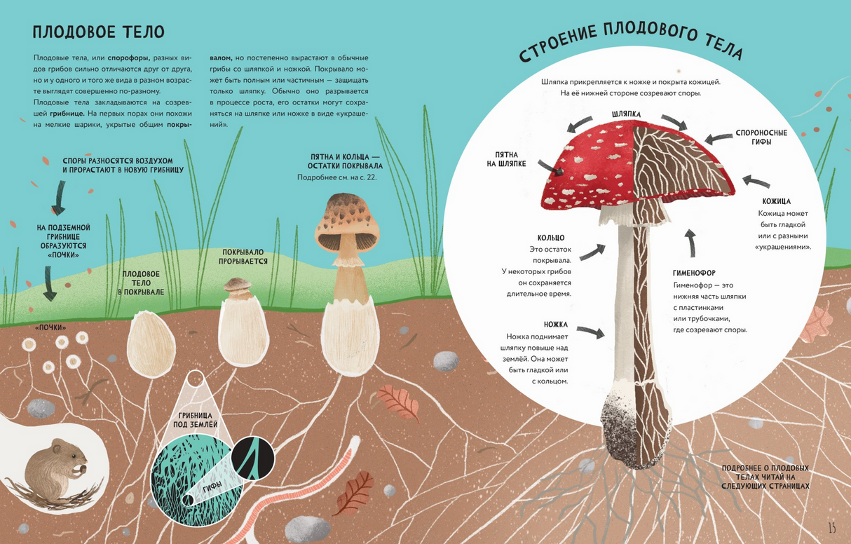 Тайны грибов 9785907793392