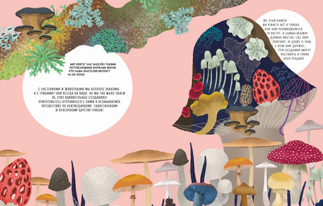 Тайны грибов 978-5-907793-39-2 - 2