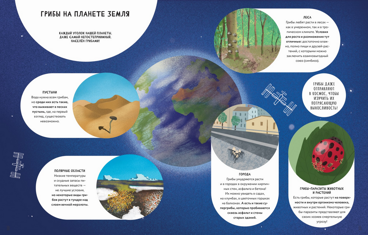 Тайны грибов 978-5-907793-39-2 - 3