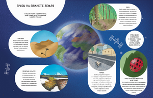 Тайны грибов 978-5-907793-39-2 - 3