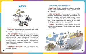 Весёлая книга о животных 9785926837855