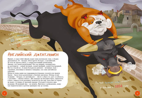 Я английский бульдог null - 1