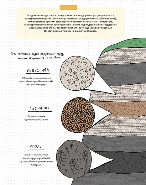 Камни и кости : Окаменелости и истории, которые они рассказывают 978-5-9614-9549-2 - 8