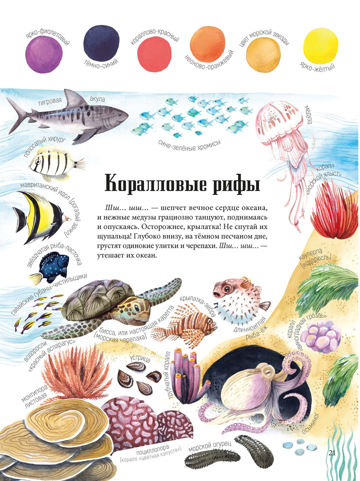 Цвета окружающего мира 9786013389417
