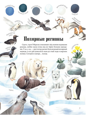 Цвета окружающего мира 9786013389417