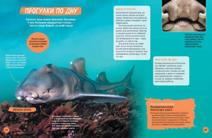 Акулы. Иллюстрированная энциклопедия 9785353106333