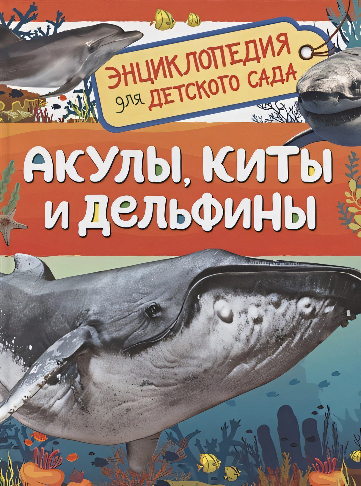 Обложка Акулы, киты и дельфины. Энциклопедия для детского сада 978-5-353-10284-7
