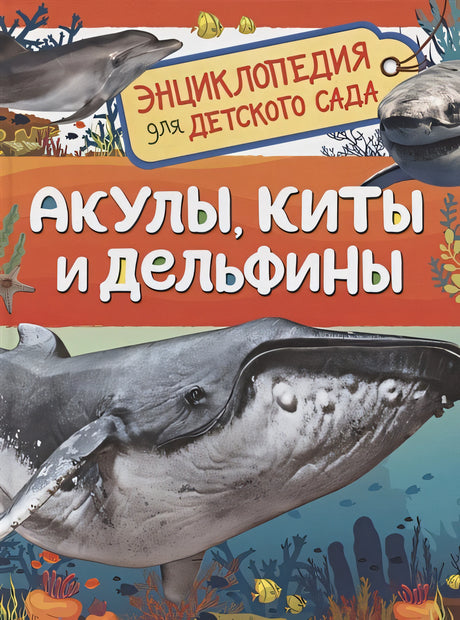 Обложка Акулы, киты и дельфины. Энциклопедия для детского сада 978-5-353-10284-7