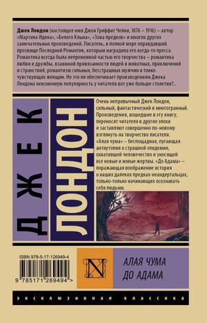 Задняя обложка книги с аннотацией, штрихкодом и миниатюрой лицевой стороны