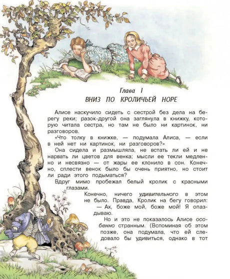Глава I Вниз по кроличьей норе