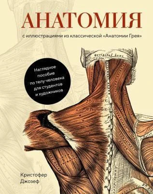 Обложка книги «Анатомия» Кристофера Джозефа с иллюстрацией мышц спины.