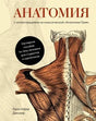 Обложка книги «Анатомия» Кристофера Джозефа с иллюстрацией мышц спины.