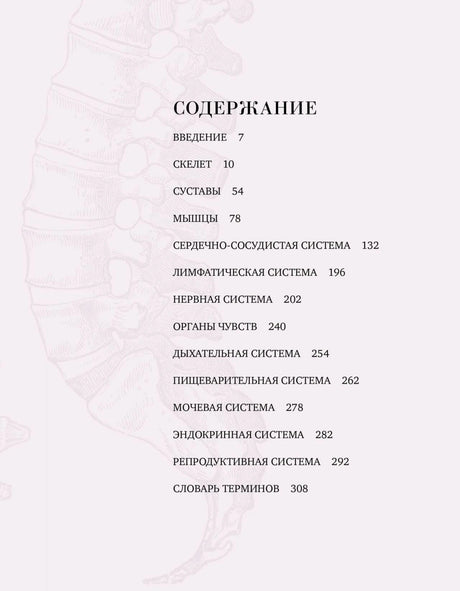 Страница «Содержание» с перечнем разделов по анатомии.
