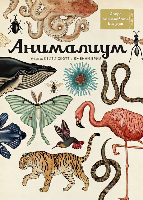 Обложка Анималиум 978-5-389-07499-6