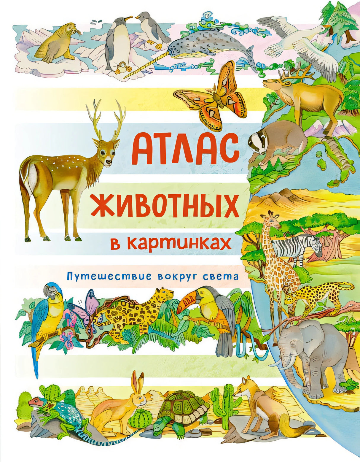 Атлас животных в картинках. Путешествие вокруг света