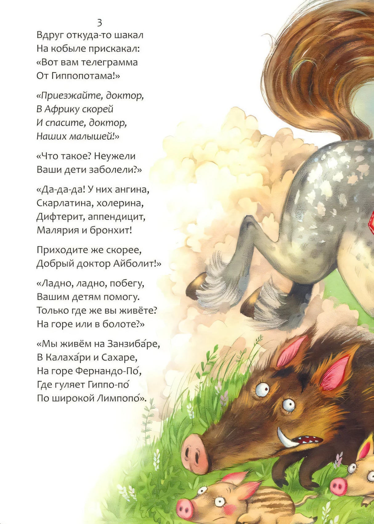 Айболит null - 5