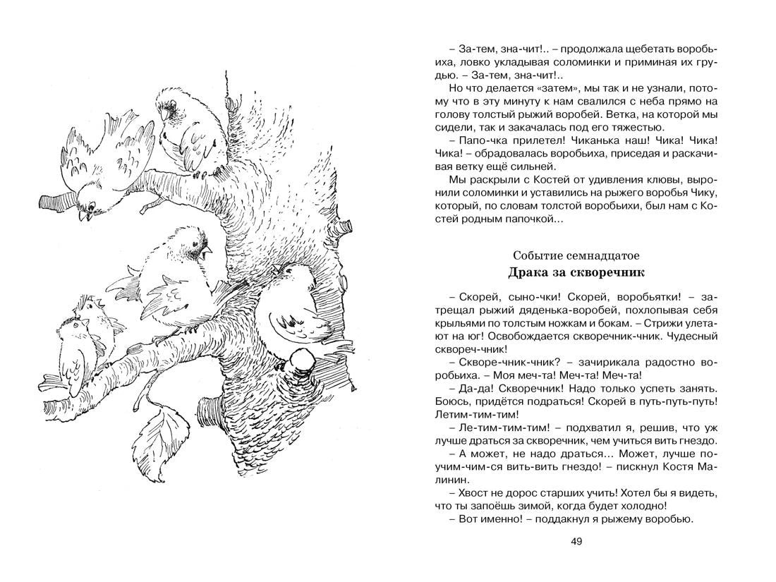Разворот страниц 48–49 с рисунком воробьёв на ветках.