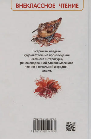 Задняя обложка серии «Внеклассное чтение» с аннотацией, ISBN и QR-кодом