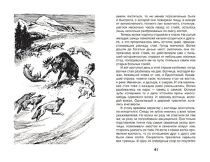 Разворот: иллюстрация с волками и лосем, стр. 41