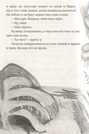 Бертик и Чмух 978-5-00167-097-1 - 2
